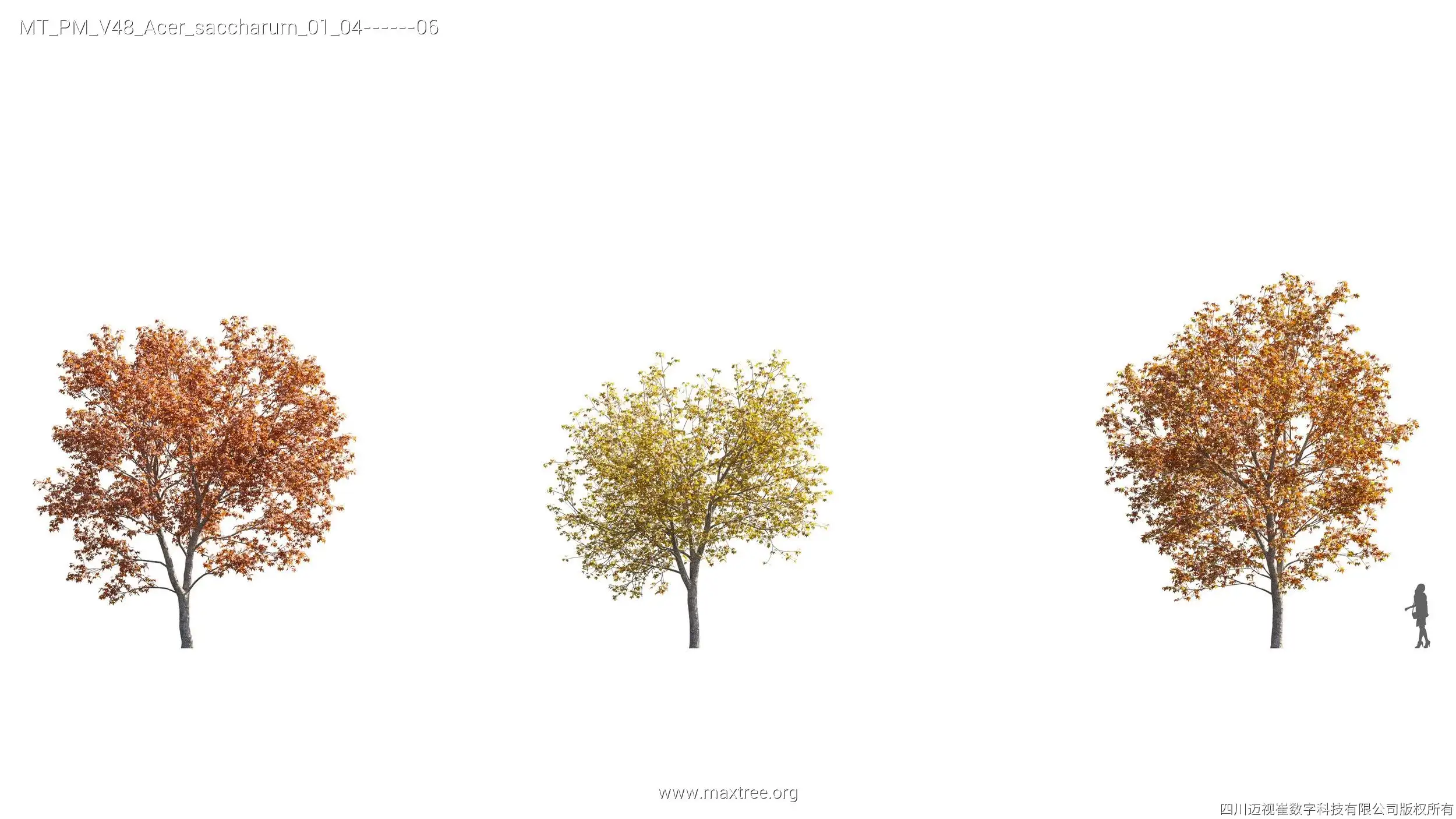 دانلود مدل سه بعدی درخت پاییزی - 6