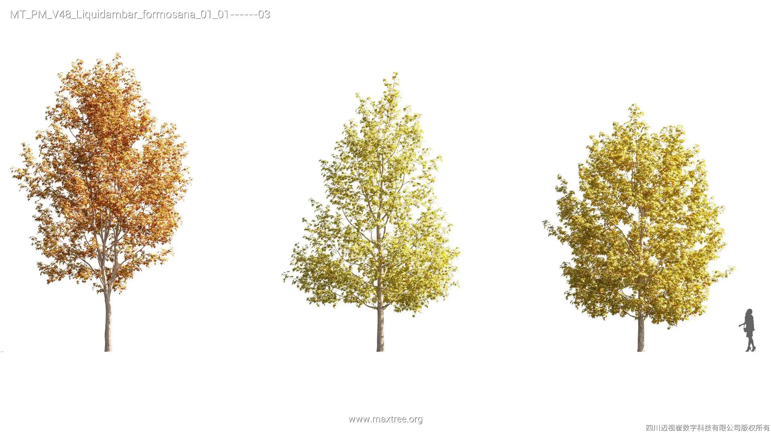 دانلود مدل سه بعدی درخت پاییزی - 16