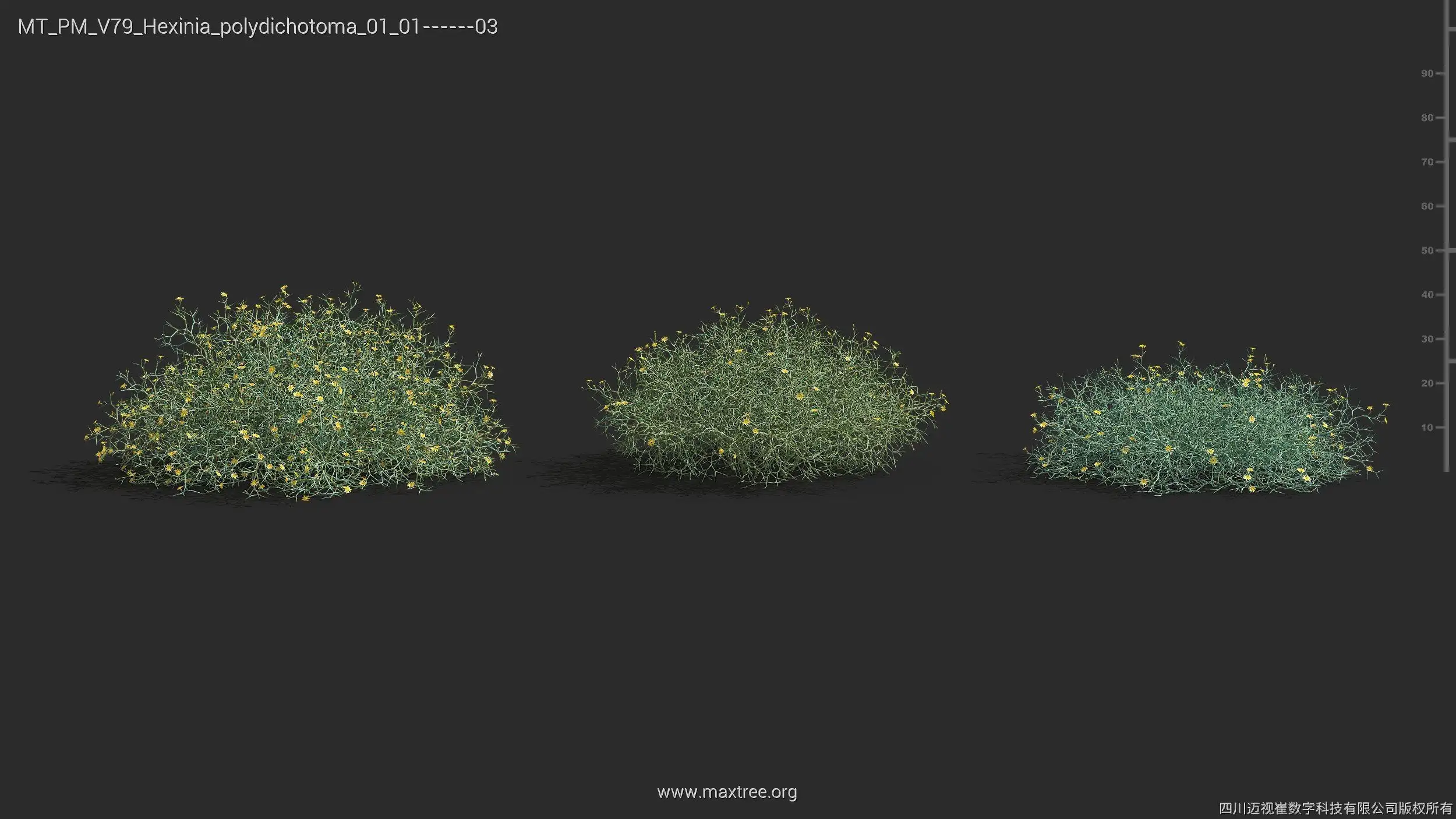 مدل سه بعدی گیاهان بیابانی - 16