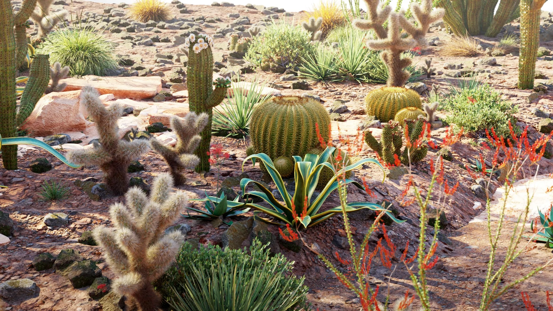 مدل سه بعدی گیاهان باغ خانه مکزیکی - 8