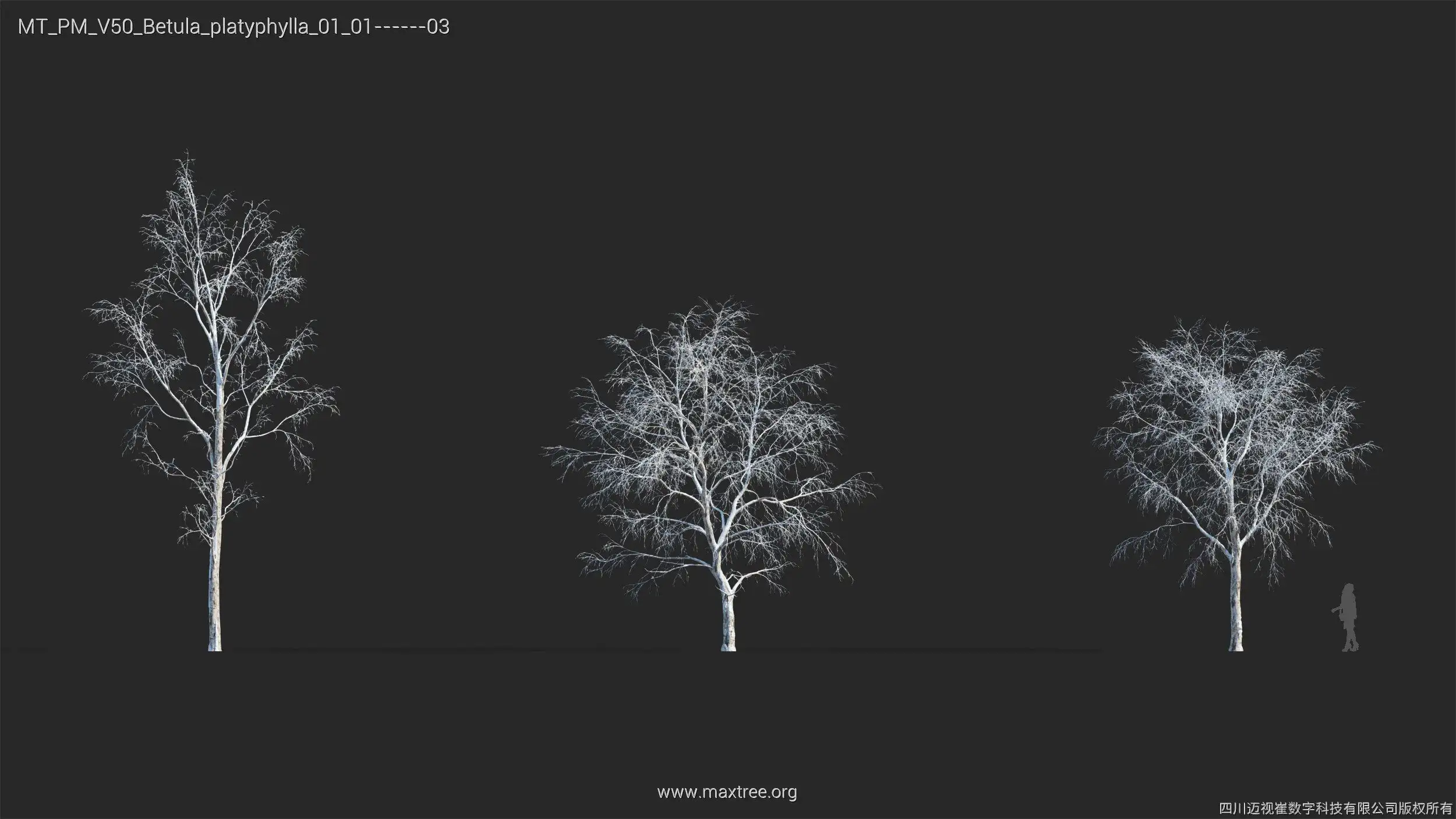 آبجکت درخت زمستانی - 8