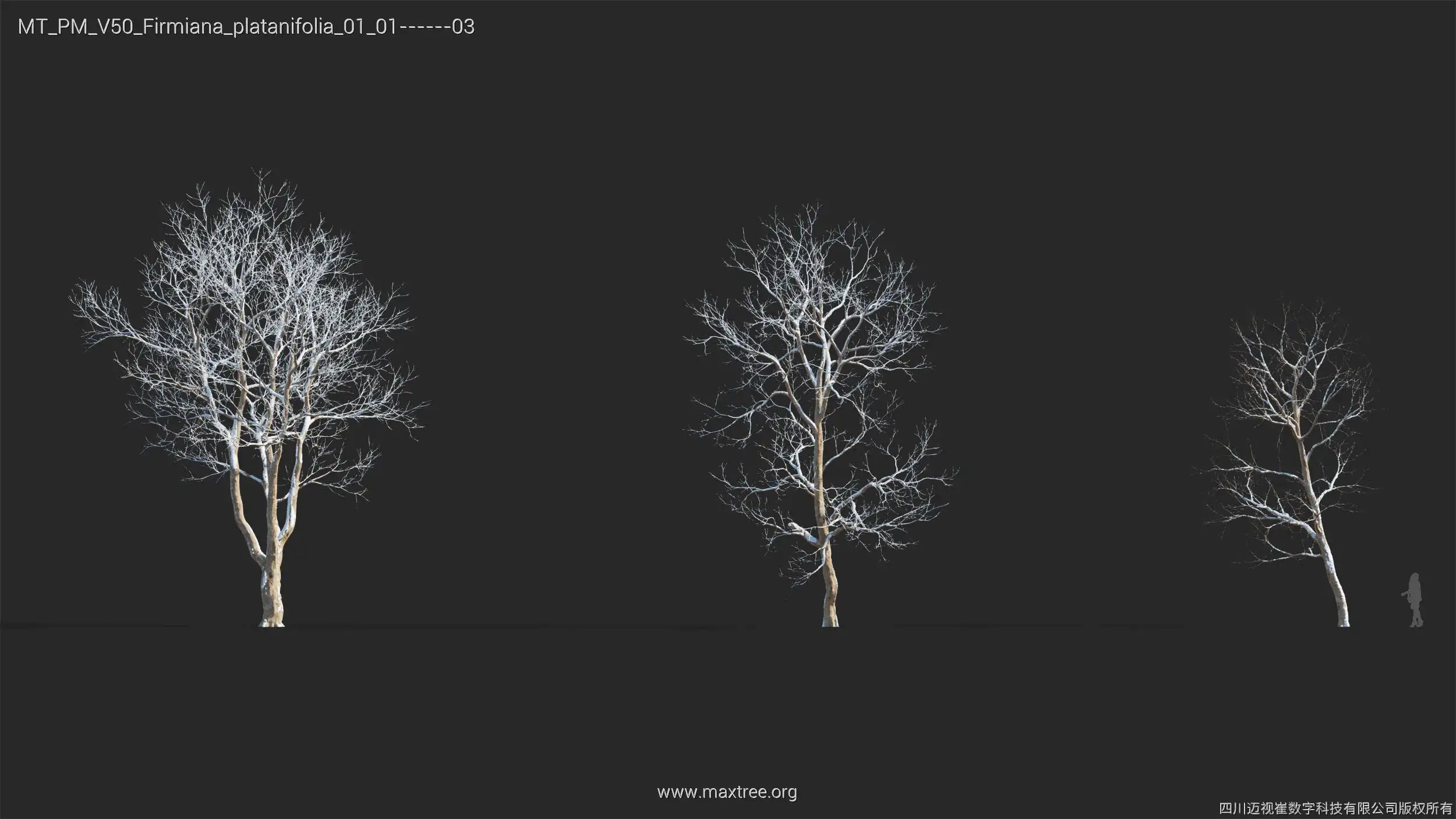 آبجکت درخت زمستانی - 12
