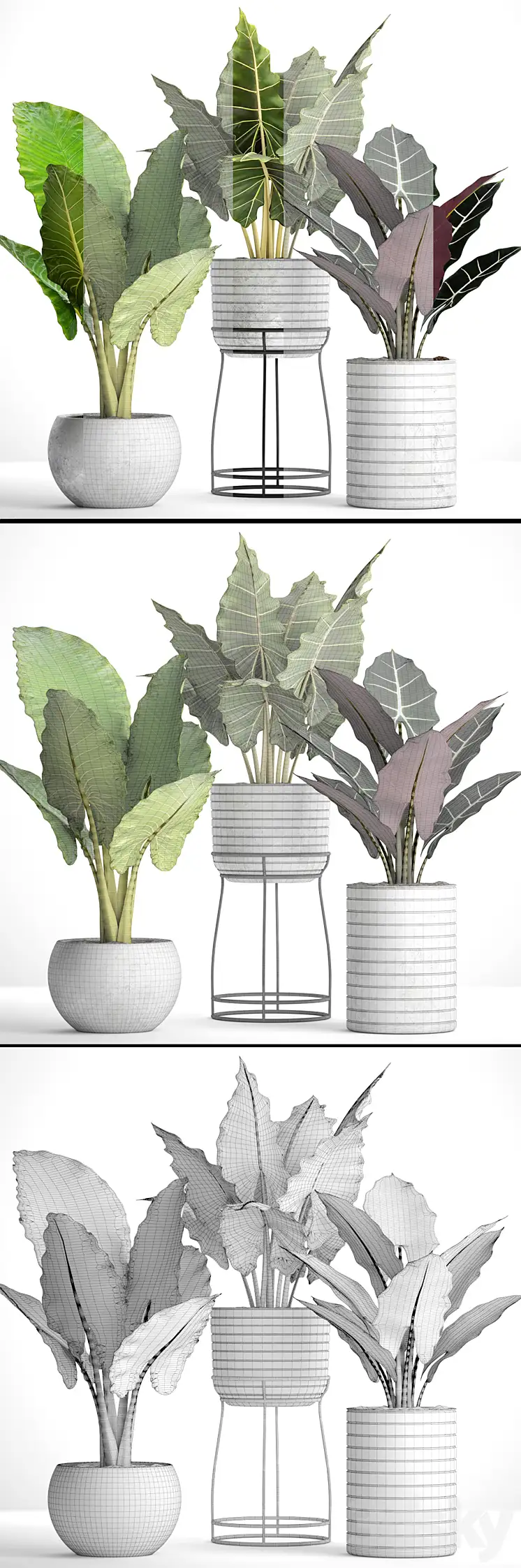 دانلود مدل سه بعدی گیاهان آپارتمانی 44 - 6
